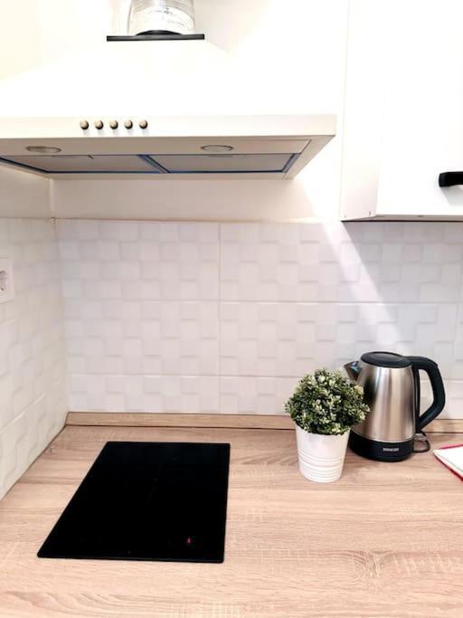 F2 Ultra Central Danube Loft بودابست المظهر الخارجي الصورة